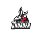 Adirondack Thunder